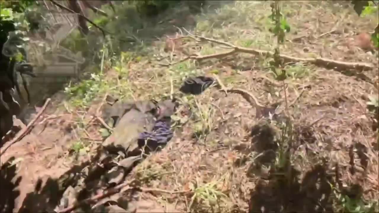 Western Group Fighters Clear Ukrainian Dugout Hideout