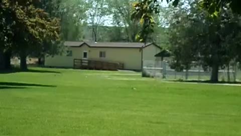 Woodchucks, whistle pigs, marmots!!