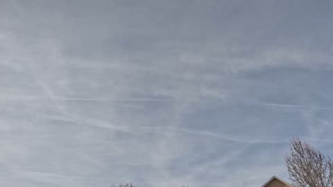 Wipeout - Myrtle Beach Sky Watch 1/11/26 Pt2