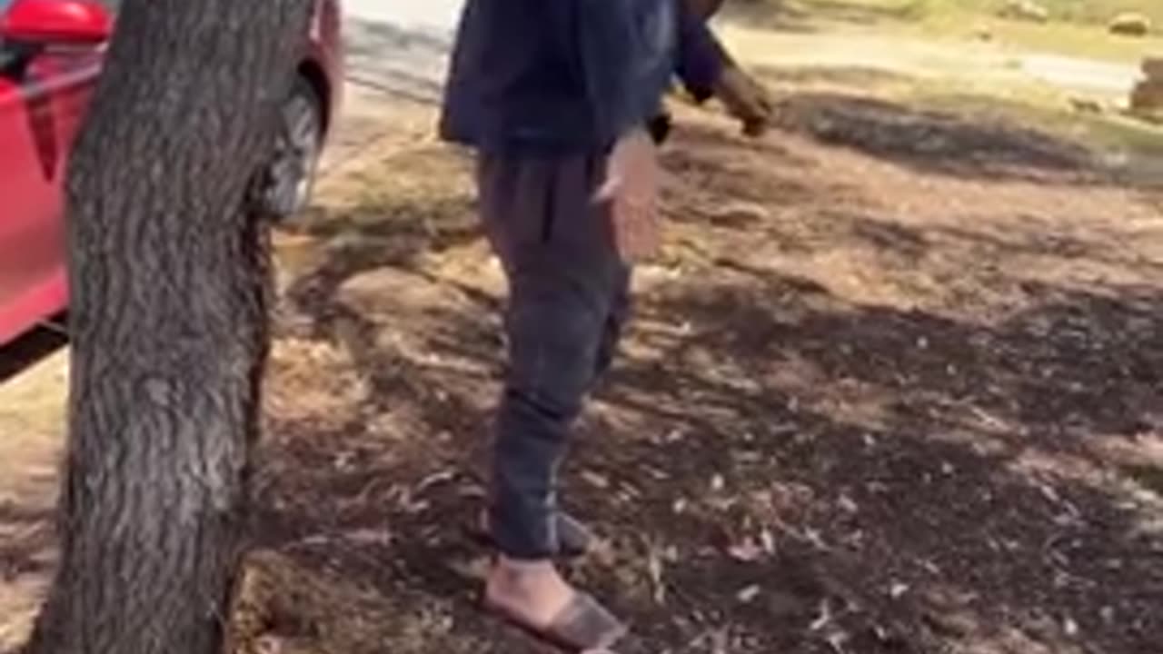 Aussie catches immigrant about to defecate in the street in broad daylight