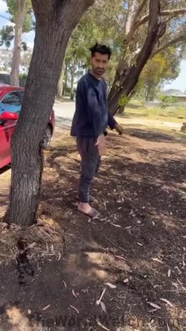 Aussie catches immigrant about to defecate in the street in broad daylight