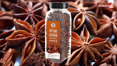Efecto del Anís Estrellado en el Organismo