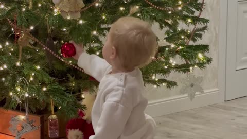 Toddler Tugs Christmas Tree Over