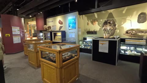 Weis Earth Science Museum picture video