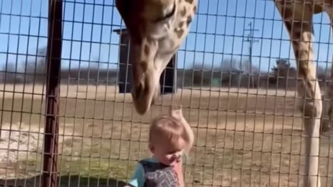 WILD Zoo Encounters You've NEVER Seen Before! #zoo #animals #shorts