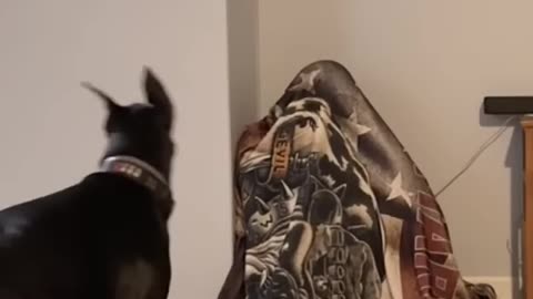 Where is Daddy