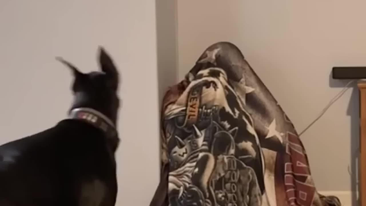 Where is Daddy