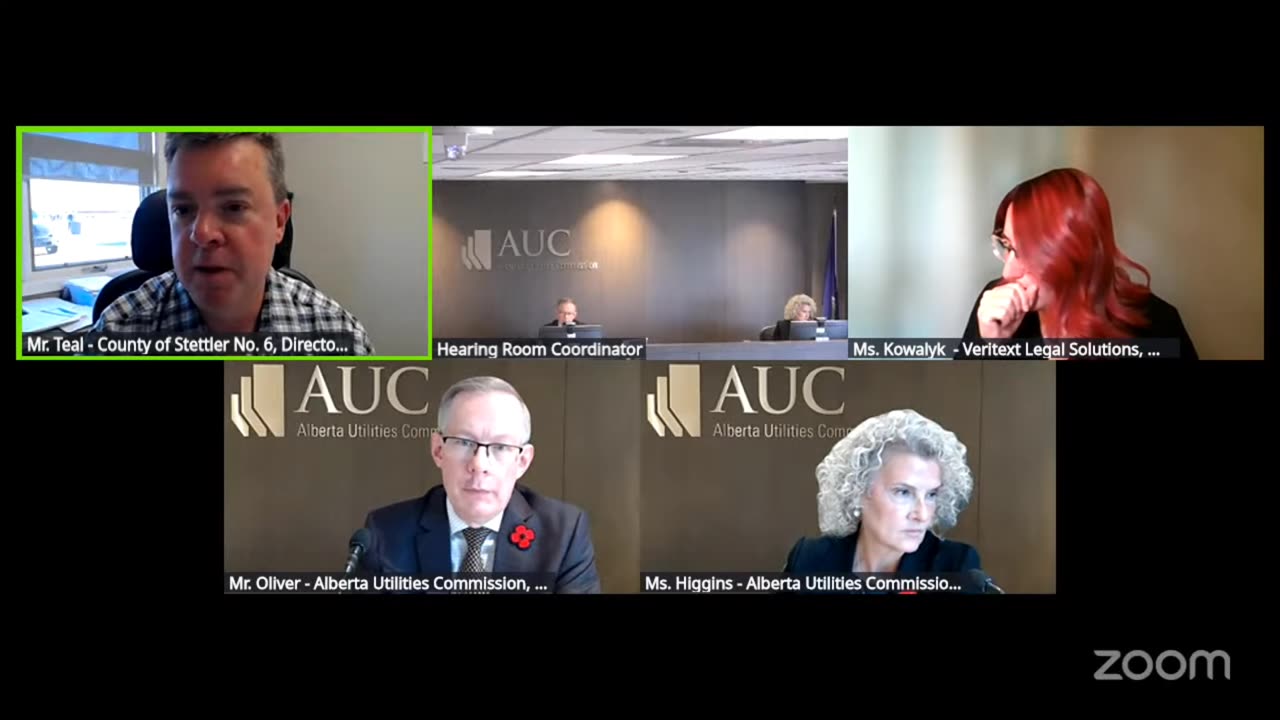 AUC Proceeding #29252 Red Willow Solar + Storage Day 3 part 2