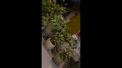 "The biggest adventure you can take is to live the life of your dreams". 🤩💃🚗🙌🏻