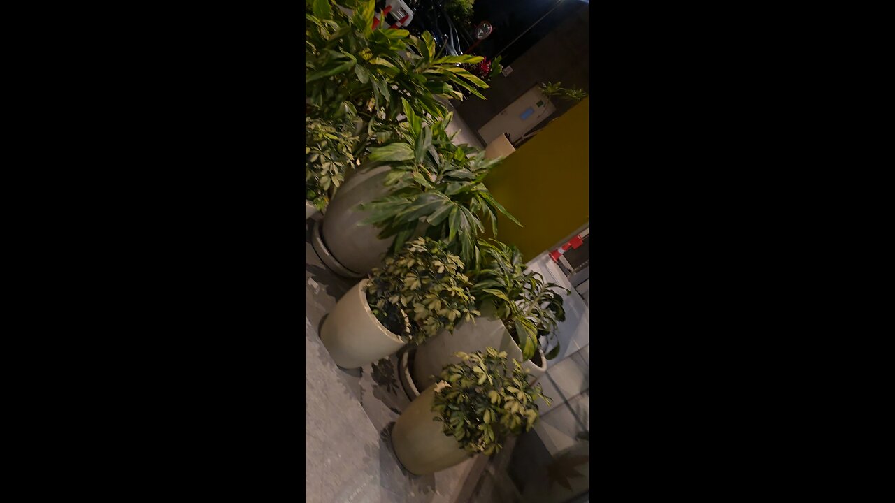 "The biggest adventure you can take is to live the life of your dreams". 🤩💃🚗🙌🏻