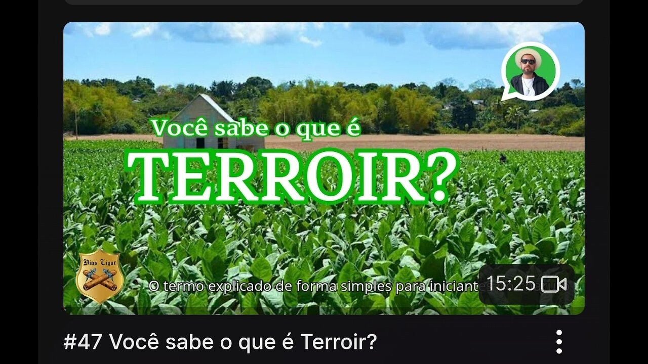 #49 Você sabe o que é Terroir?
