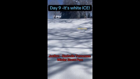 11 Days of ice. Am stuck at home still