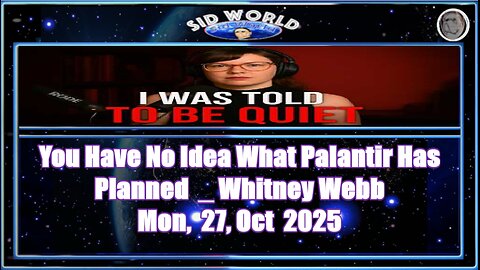 You Have No Idea What Palantir Has Planned _ Whitney Webb