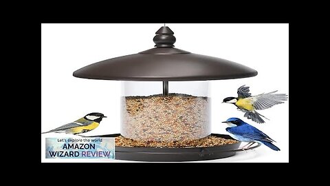 Bird Feeder for Outside HangingBird Seed for Outside Wild Bird Feeders Review