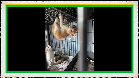 ARE US MARKETS ABOUT TO BLOW RUN FOR YOUR SAFETY