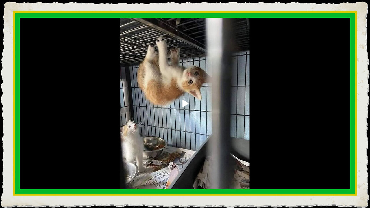 ARE US MARKETS ABOUT TO BLOW RUN FOR YOUR SAFETY