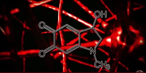 ADRENOCHROME🩸: THE RABBIT HOLE