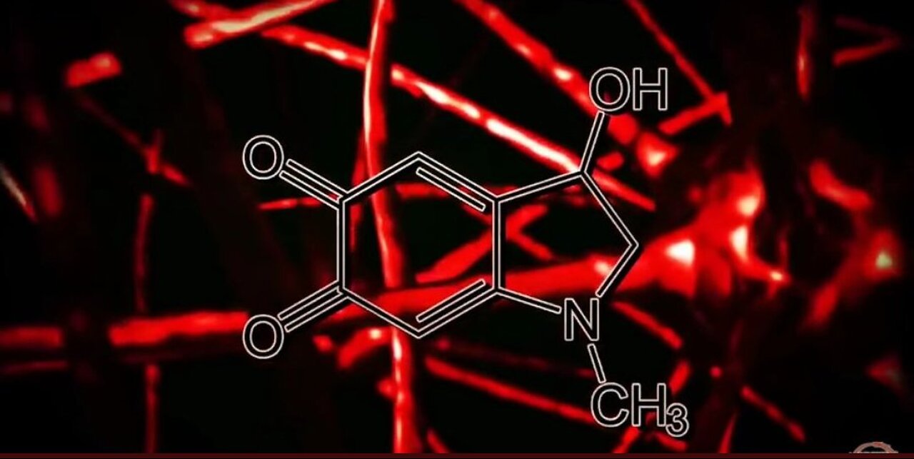 ADRENOCHROME🩸: THE RABBIT HOLE