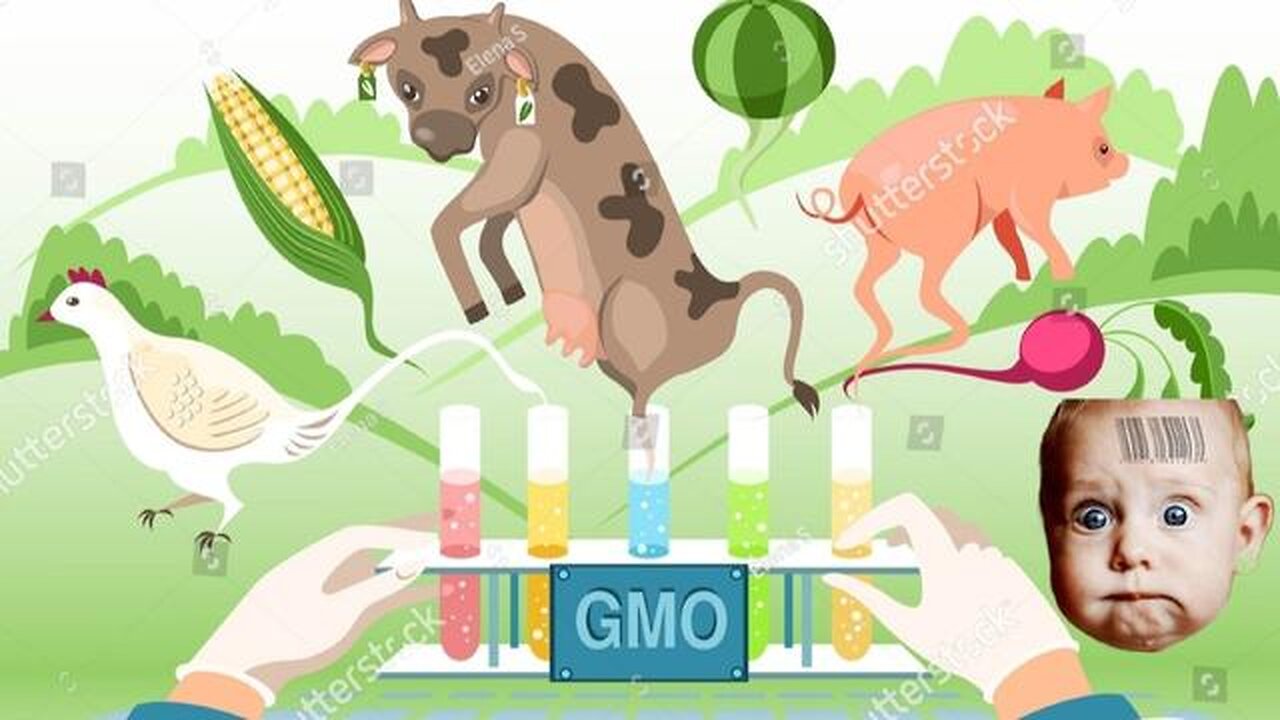 Genetically Modified Foods, Animals & Humans - KILLUMINATI13420