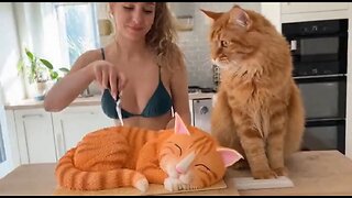 Cats cake prank 😂 #funny