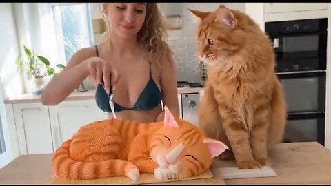 Cats cake prank 😂 #funny