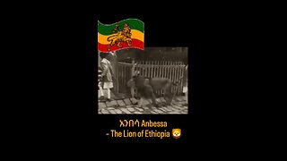Ethiopians riding lions