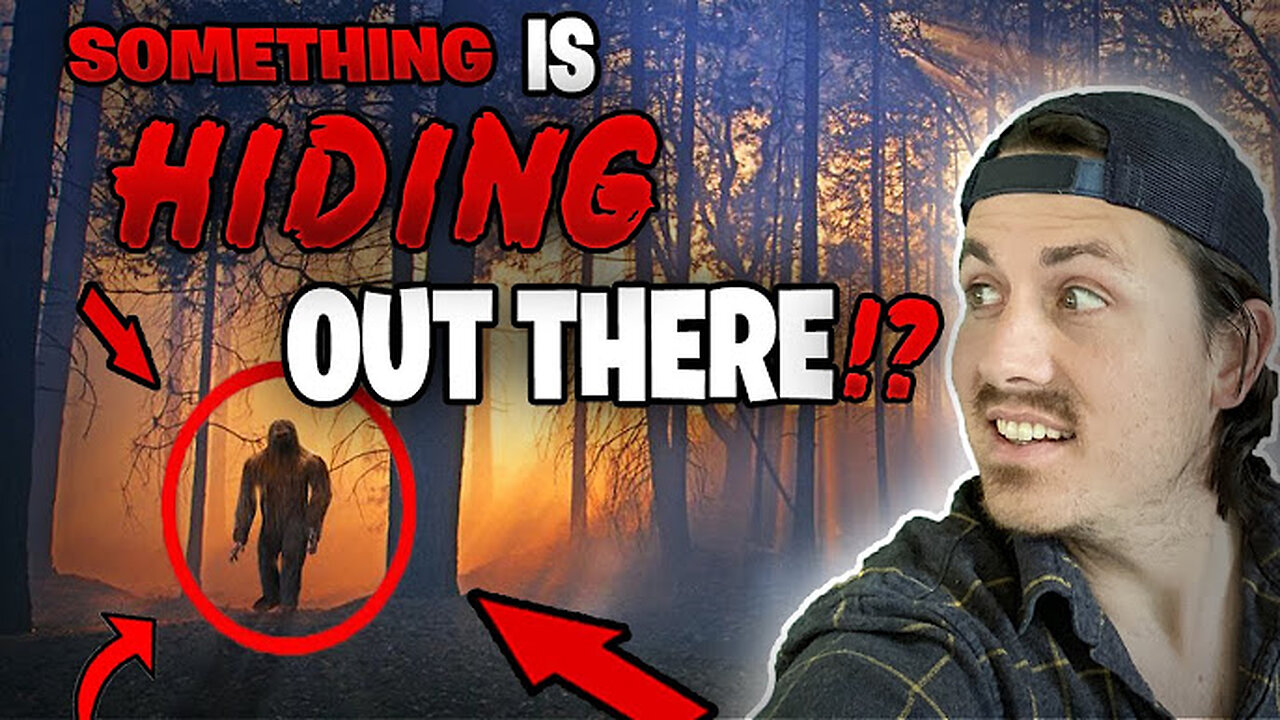 5 STRANGEST disappearances in forests | The Missing 411 phenomenon.