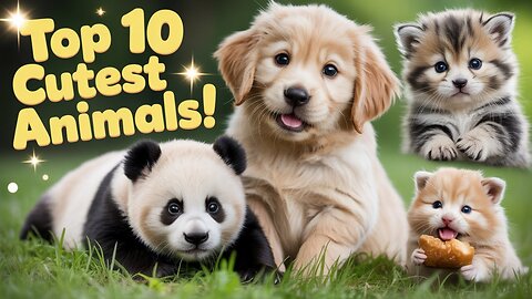 Top 10 Cutest Animals Ever Caught on Camera Epic Funny & Adorable Animal Moments 2025