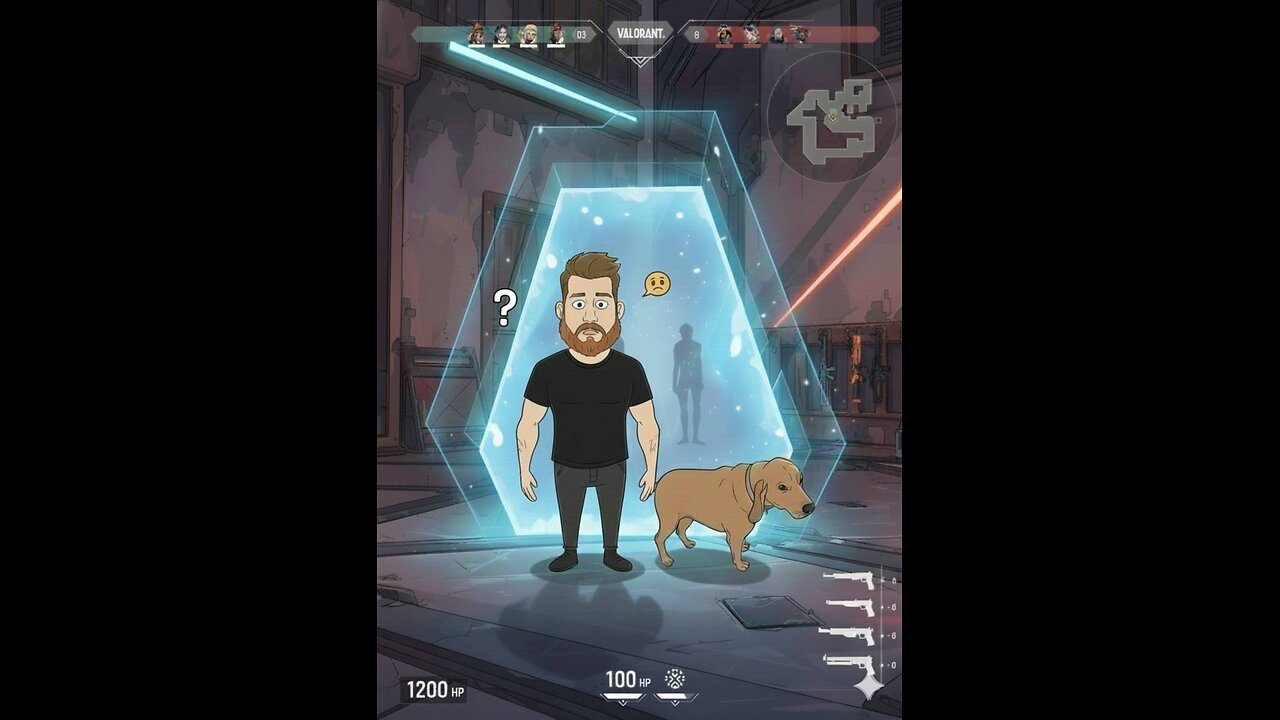 swift and comp come say hello and hang out