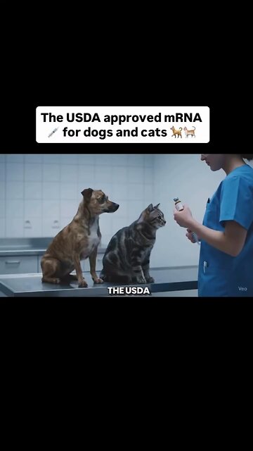 💉😰 Pets get shots replicating RNA rabies—and no one’s asking