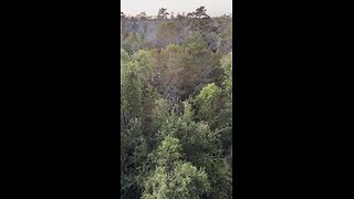 TEXAS LOUISIANA USA