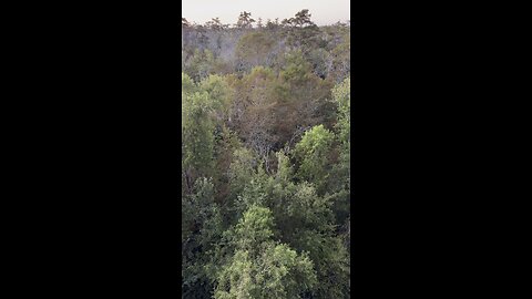 TEXAS LOUISIANA USA