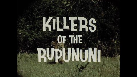 Mutual of Omaha's Wild Kingdom - "Killers of the Rupununi"