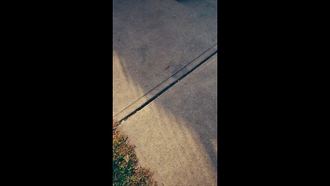 Are You Going To Celebrate Thanksgiving?