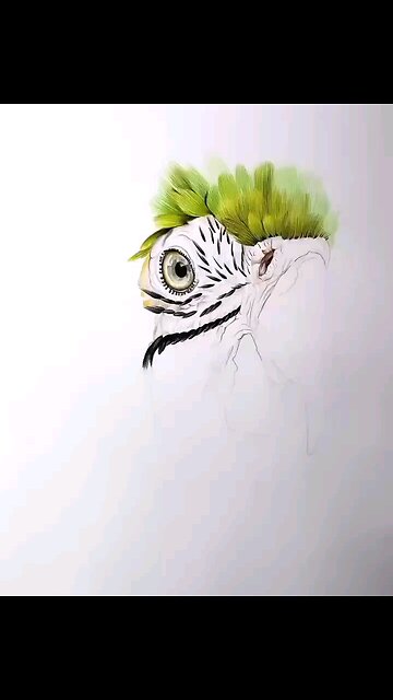 Drawing Realistic ✍️