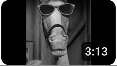 NZ 20250703 @farrahfiasco IS SUING THE INSTITUTE!