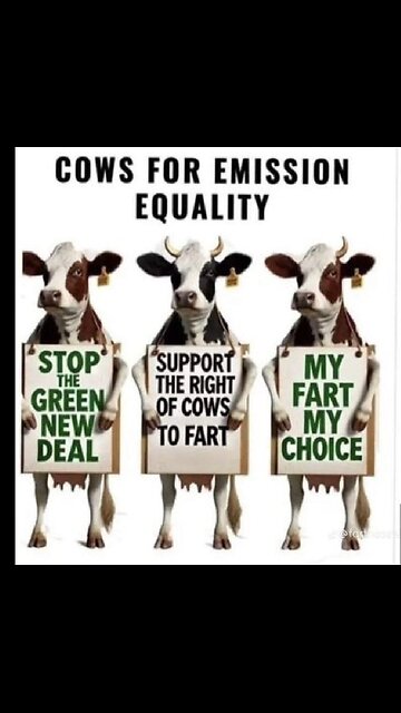 Bill Gates on Vaccinating COWS