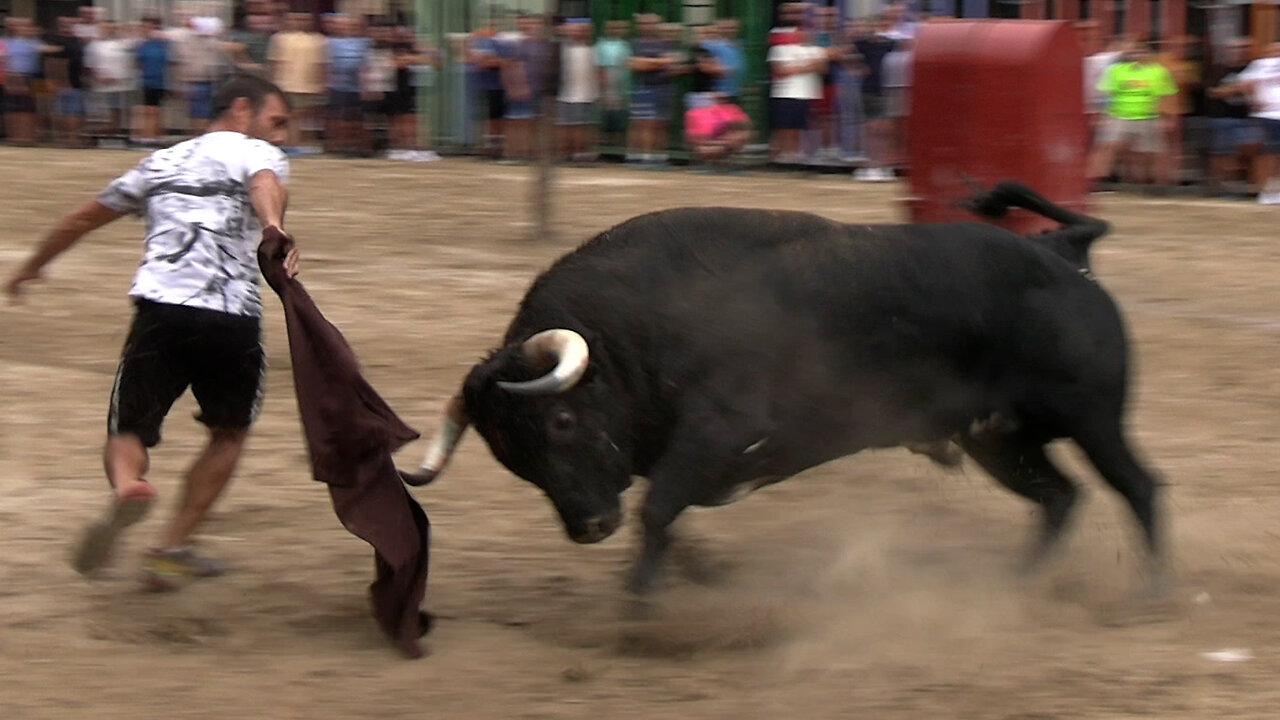 2025 09 21 LA VILAVELLA LOS MAÑOS Nº38