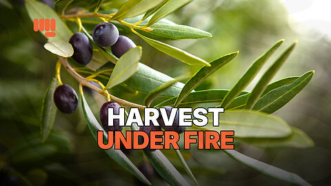 HARVEST UNDER FIRE