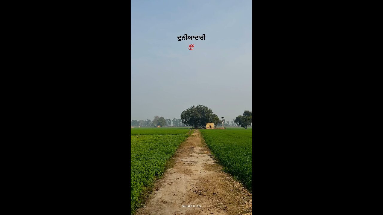 punjab