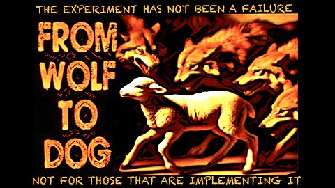 THE EXPERIMENT IS NOT A FAILURE......