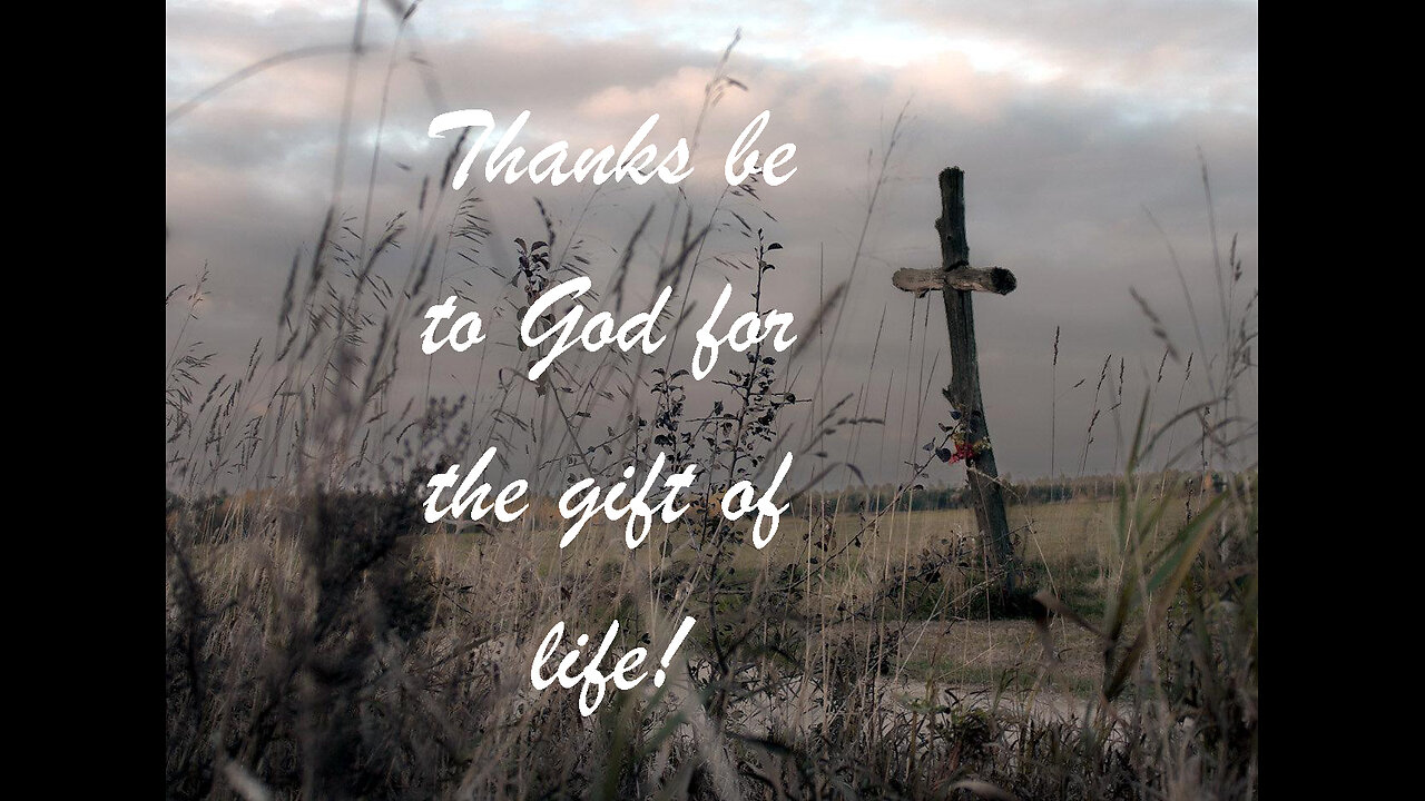 Three Wise Men Bring Gifts To Jesus!