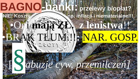 BAGNO-banki : przelewy bez opłaty? NIE! Koszty np. inflacji i niematerialne!!!