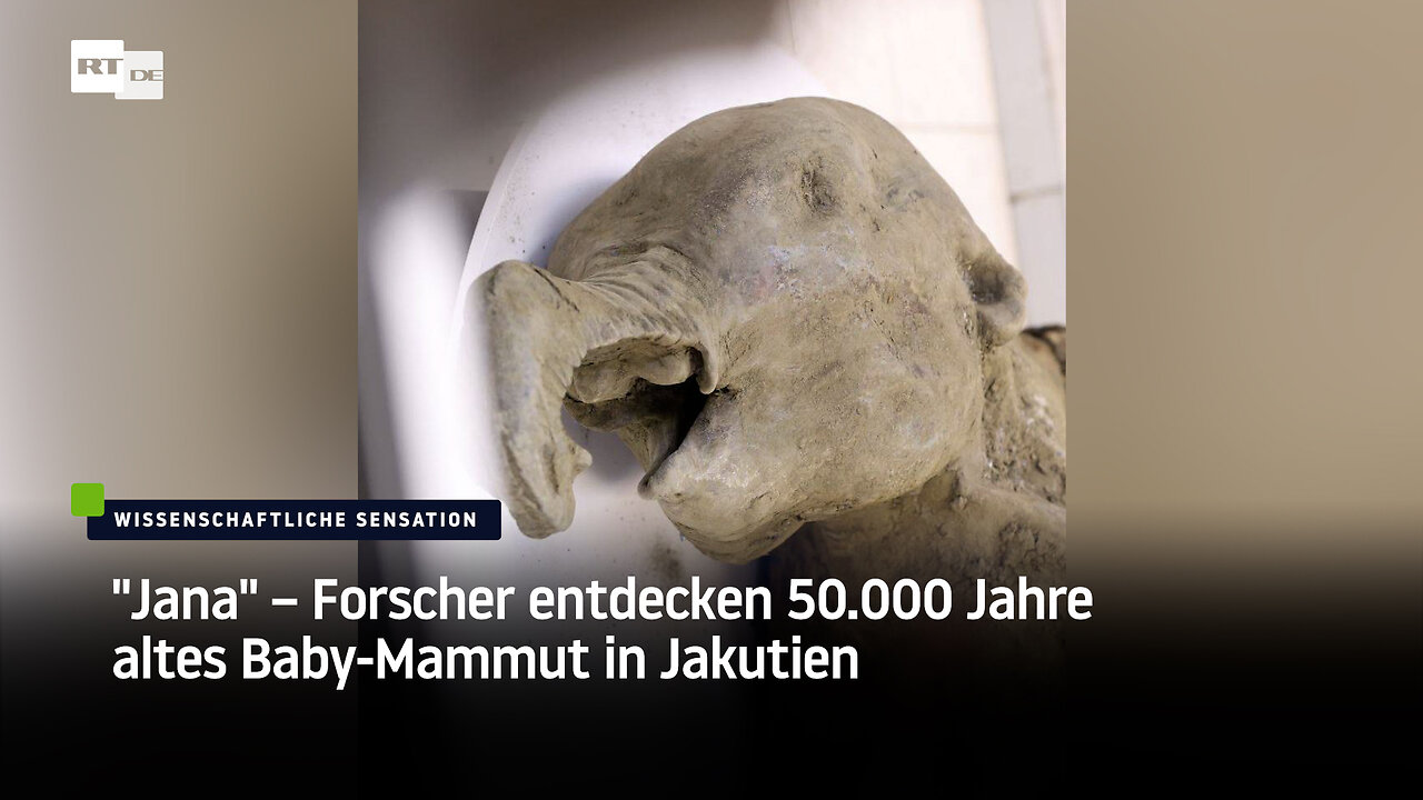 "Jana" – Forscher entdecken 50.000 Jahre altes Baby-Mammut in Jakutien