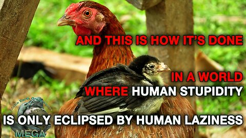 AND THIS IS HOW IT’S DONE - IN A WORLD WHERE HUMAN STUPIDITY IS ONLY ECLIPSED BY HUMAN LAZINESS | "Security guards posted at both gates of the farm" THIS IS GETTING BAD!!