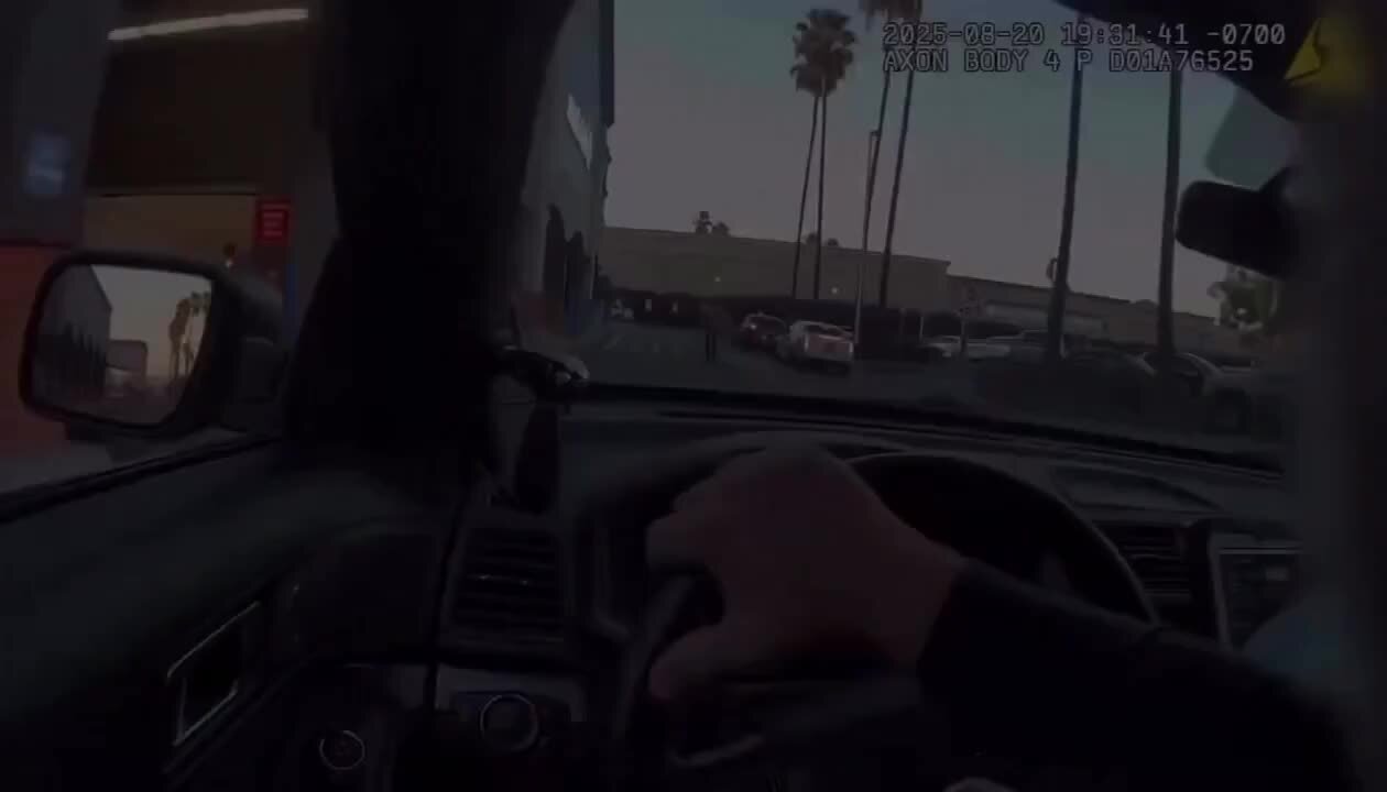 Welcome to New Yorkistan, illegals on ebt cards, ice arrest, stealing food from stores