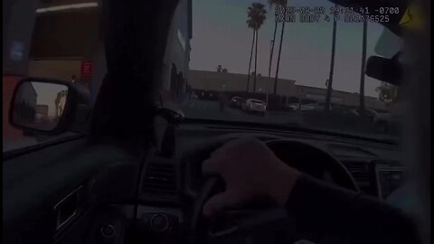 Welcome to New Yorkistan, illegals on ebt cards, ice arrest, stealing food from stores