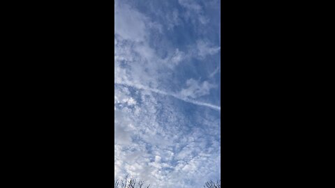 A few seconds looking up.