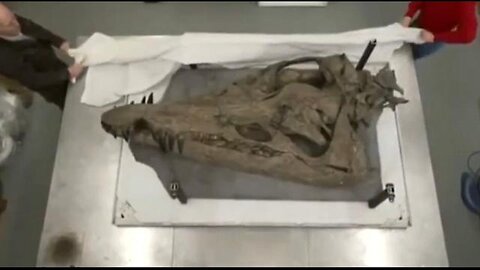 Dragons are REAL Dinosaurs are FAKE -- I brought it back! (Mith Chronicler)