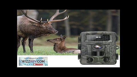 PR700 16MP Hunting Camera 1080P Resolution 120° Wide Angle IP54 Waterproof 15m Review